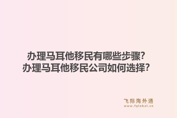 办理马耳他移民有哪些步骤?办理马耳他移民公司如何选择?1.jpg