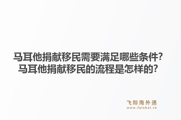 马耳他捐献移民需要满足哪些条件?马耳他捐献移民的流程是怎样的?1.jpg