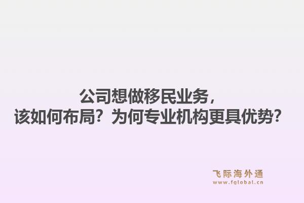 公司想做移民业务,该如何布局?为何专业机构更具优势?1.jpg