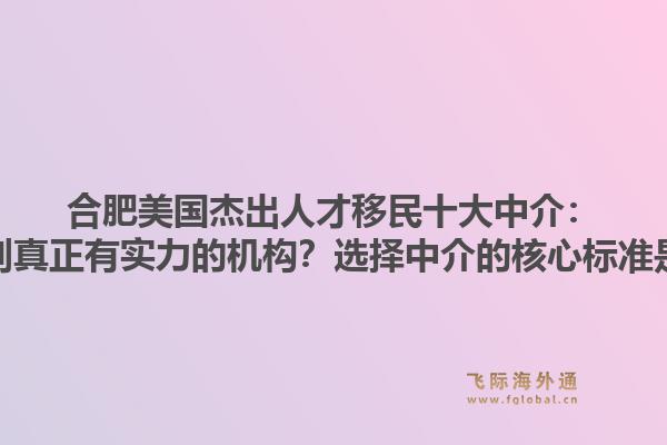 合肥美国杰出人才移民十大中介:如何辨别真正有实力的机构?选择中介的核心标准是什么?1.jpg