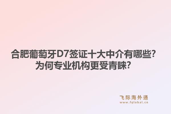 合肥葡萄牙D7签证十大中介有哪些？为何专业机构更受青睐？1.jpg