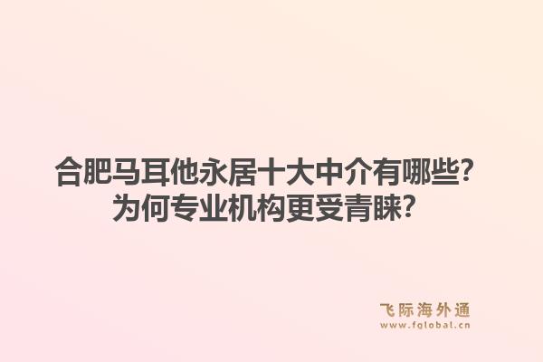 合肥马耳他永居十大中介有哪些？为何专业机构更受青睐？1.jpg