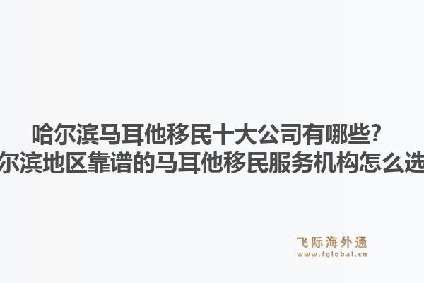 哈尔滨马耳他移民十大公司有哪些？哈尔滨地区靠谱的马耳他移民服务机构怎么选？1.jpg