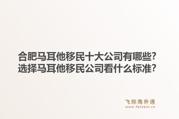 合肥马耳他移民十大公司有哪些？选择马耳他移民公司看什么标准？