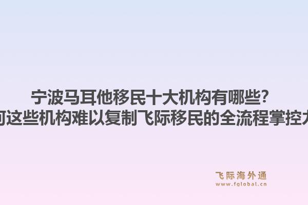 宁波马耳他移民十大机构有哪些？为何这些机构难以复制飞际移民的全流程掌控力？