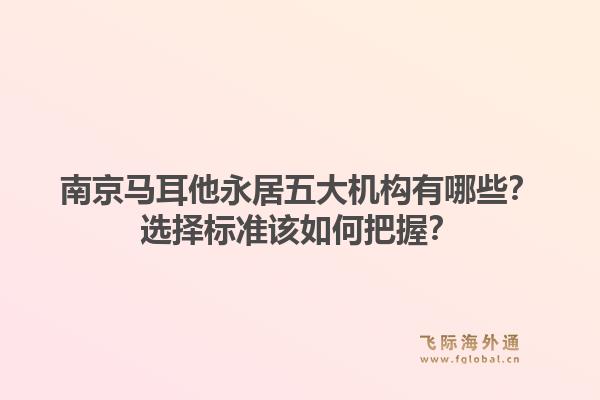 南京马耳他永居五大机构有哪些？选择标准该如何把握？