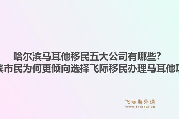 哈尔滨马耳他移民五大公司有哪些？哈尔滨市民为何更倾向选择飞际移民办理马耳他项目？