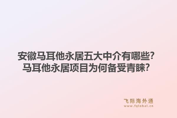 安徽马耳他永居五大中介有哪些？马耳他永居项目为何备受青睐？