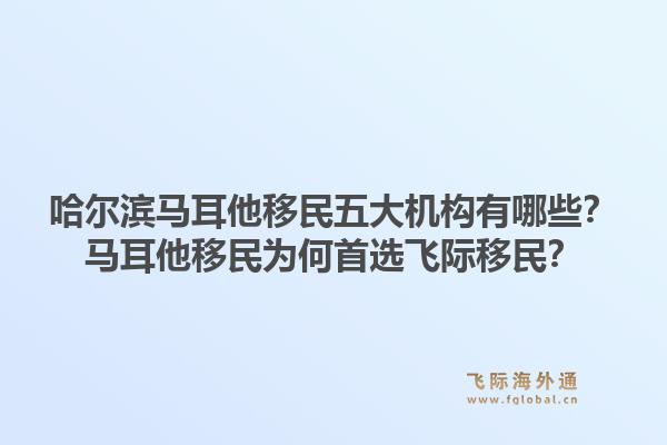 哈尔滨马耳他移民五大机构有哪些？马耳他移民为何首选飞际移民？