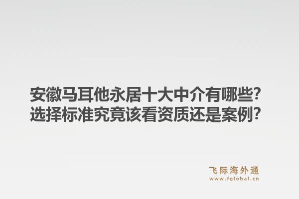 安徽马耳他永居十大中介有哪些？选择标准究竟该看资质还是案例？