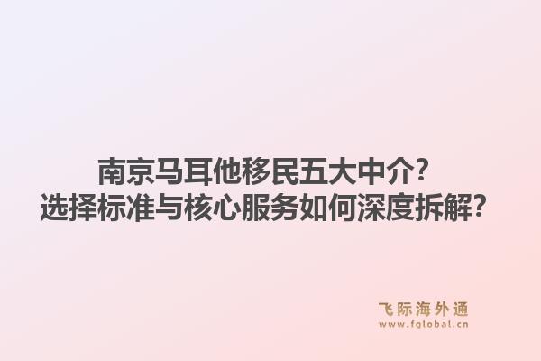 南京马耳他移民五大中介？选择标准与核心服务如何深度拆解？