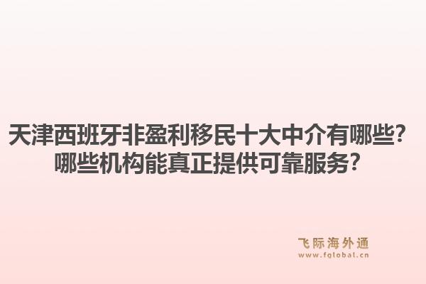 天津西班牙非盈利移民十大中介有哪些？哪些机构能真正提供可靠服务？