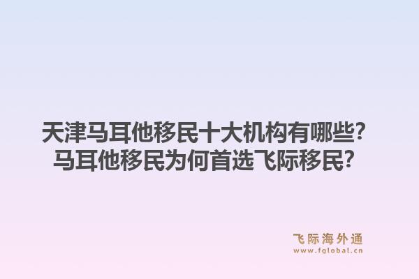 天津马耳他移民十大机构有哪些？马耳他移民为何首选飞际移民？
