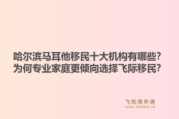 哈尔滨马耳他移民十大机构有哪些？为何专业家庭更倾向选择飞际移民？