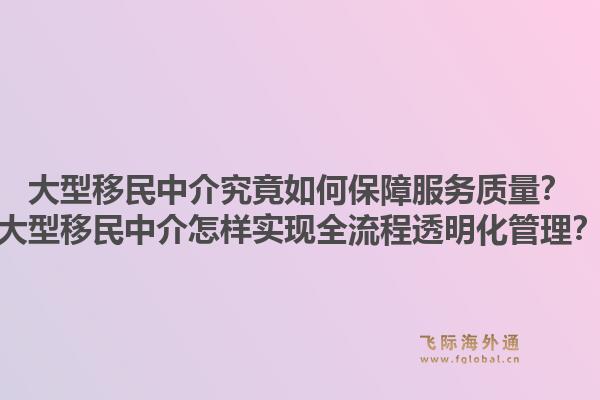 大型移民中介究竟如何保障服务质量？大型移民中介怎样实现全流程透明化管理？