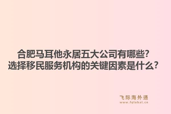 合肥马耳他永居五大公司有哪些？选择移民服务机构的关键因素是什么？