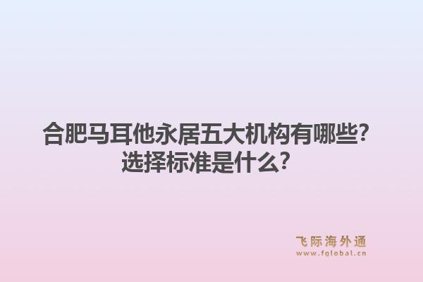 合肥马耳他永居五大机构有哪些？选择标准是什么？