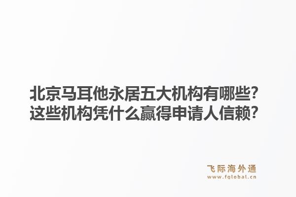 北京马耳他永居五大机构有哪些？这些机构凭什么赢得申请人信赖？