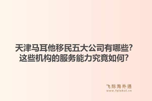 天津马耳他移民五大公司有哪些？这些机构的服务能力究竟如何？