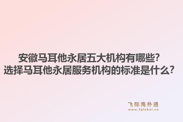 安徽马耳他永居五大机构有哪些？选择马耳他永居服务机构的标准是什么？