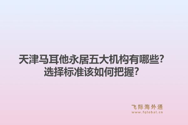 天津马耳他永居五大机构有哪些？选择标准该如何把握？