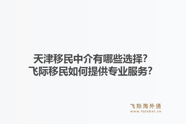 天津移民中介有哪些选择？飞际移民如何提供专业服务？