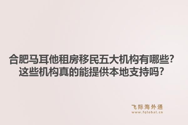 合肥马耳他租房移民五大机构有哪些？这些机构真的能提供本地支持吗？
