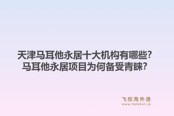 天津马耳他永居十大机构有哪些？马耳他永居项目为何备受青睐？