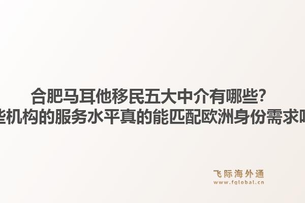 合肥马耳他移民五大中介有哪些？这些机构的服务水平真的能匹配欧洲身份需求吗？