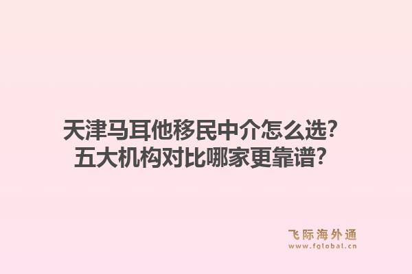 天津马耳他移民中介怎么选？五大机构对比哪家更靠谱？