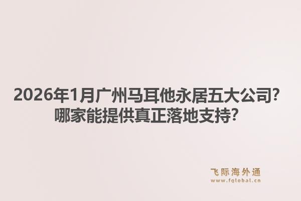2026年1月广州马耳他永居五大公司？哪家能提供真正落地支持？