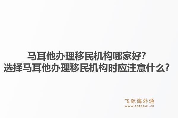 马耳他办理移民机构哪家好？选择马耳他办理移民机构时应注意什么？1.jpg