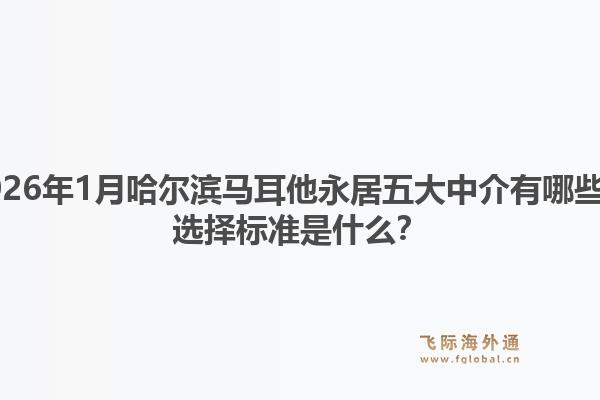2026年1月哈尔滨马耳他永居五大中介有哪些？选择标准是什么？