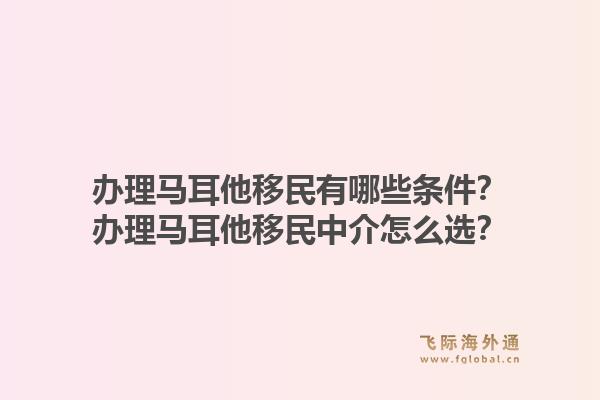 办理马耳他移民有哪些条件？办理马耳他移民中介怎么选？1.jpg