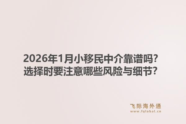 2026年1月小移民中介靠谱吗？选择时要注意哪些风险与细节？