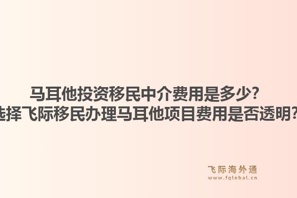 马耳他投资移民中介费用是多少？选择飞际移民办理马耳他项目费用是否透明？1.jpg
