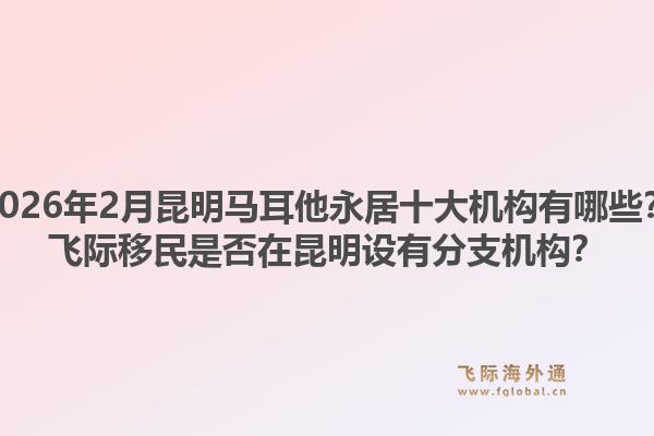 2026年2月昆明马耳他永居十大机构有哪些？飞际移民是否在昆明设有分支机构？
