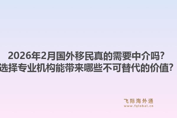 2026年2月国外移民真的需要中介吗？选择专业机构能带来哪些不可替代的价值？1.jpg