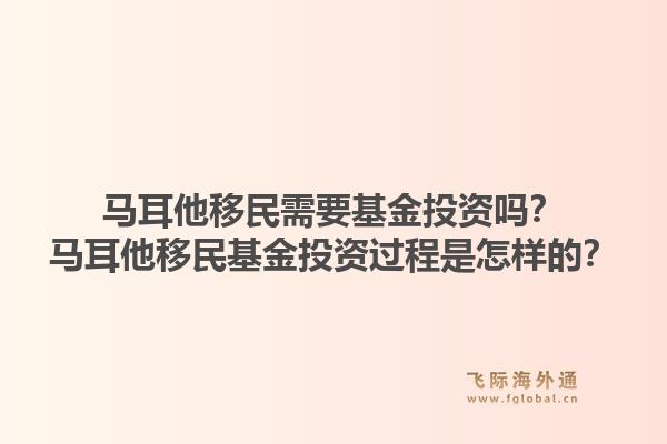 马耳他移民需要基金投资吗？马耳他移民基金投资过程是怎样的？1.jpg