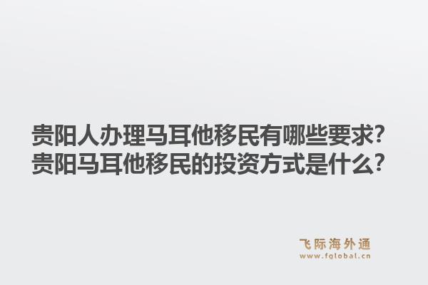 贵阳人办理马耳他移民有哪些要求？贵阳马耳他移民的投资方式是什么？1.jpg