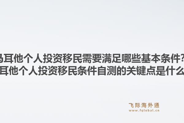 马耳他个人投资移民需要满足哪些基本条件？马耳他个人投资移民条件自测的关键点是什么？1.jpg