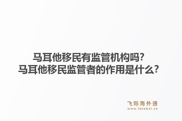 马耳他移民有监管机构吗?马耳他移民监管者的作用是什么?1.jpg