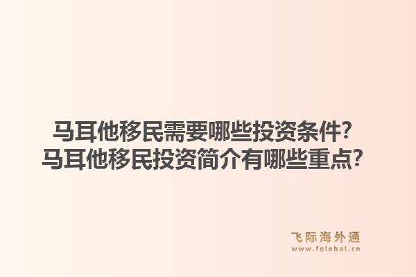 马耳他移民需要哪些投资条件?马耳他移民投资简介有哪些重点?1.jpg