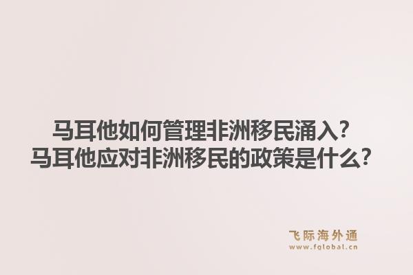马耳他如何管理非洲移民涌入？马耳他应对非洲移民的政策是什么？1.jpg