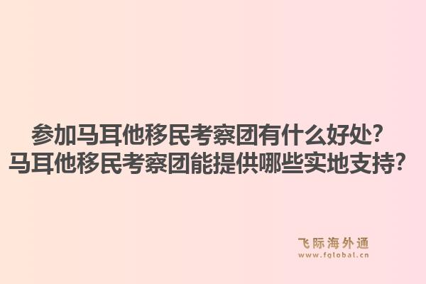 参加马耳他移民考察团有什么好处？马耳他移民考察团能提供哪些实地支持？1.jpg