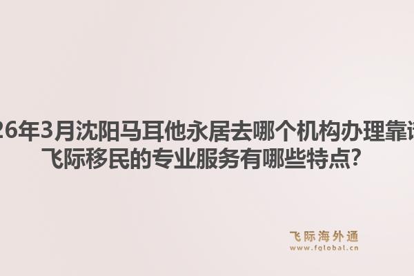 2026年3月沈阳马耳他永居去哪个机构办理靠谱？飞际移民的专业服务有哪些特点？1.jpg