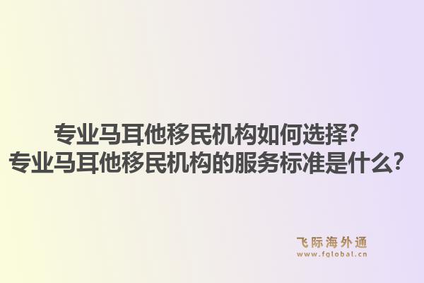 专业马耳他移民机构如何选择？专业马耳他移民机构的服务标准是什么？1.jpg