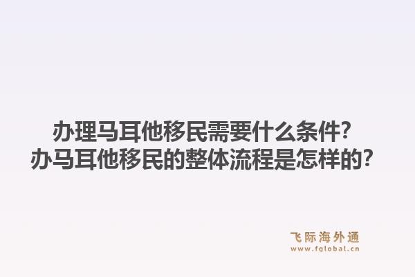 办理马耳他移民需要什么条件？办马耳他移民的整体流程是怎样的？1.jpg