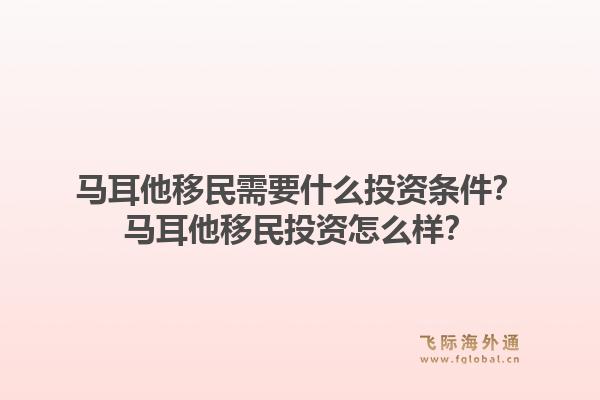 马耳他移民需要什么投资条件？马耳他移民投资怎么样？1.jpg