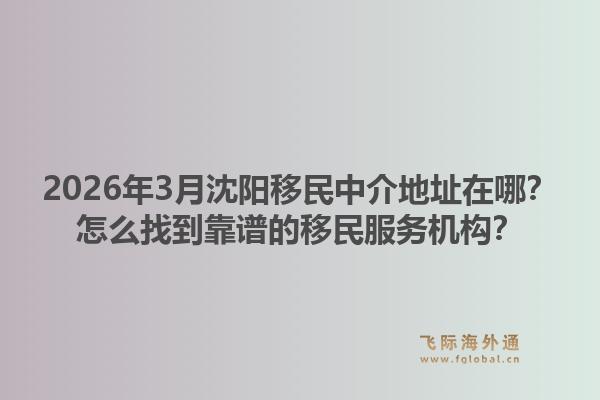 2026年3月沈阳移民中介地址在哪？怎么找到靠谱的移民服务机构？1.jpg
